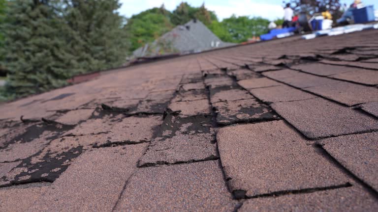 Best Commercial Roofing Services  in Scott Af, IL