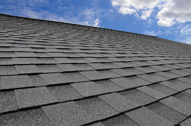 Best Roof Insulation Installation  in Scott Af, IL